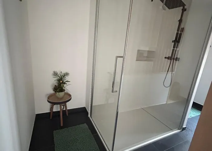 5km Du Circuit 24h Le Mans Spay